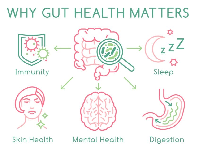 Gut health