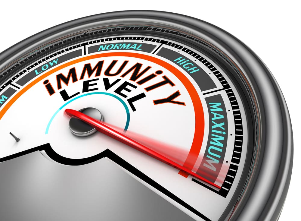 Immune System