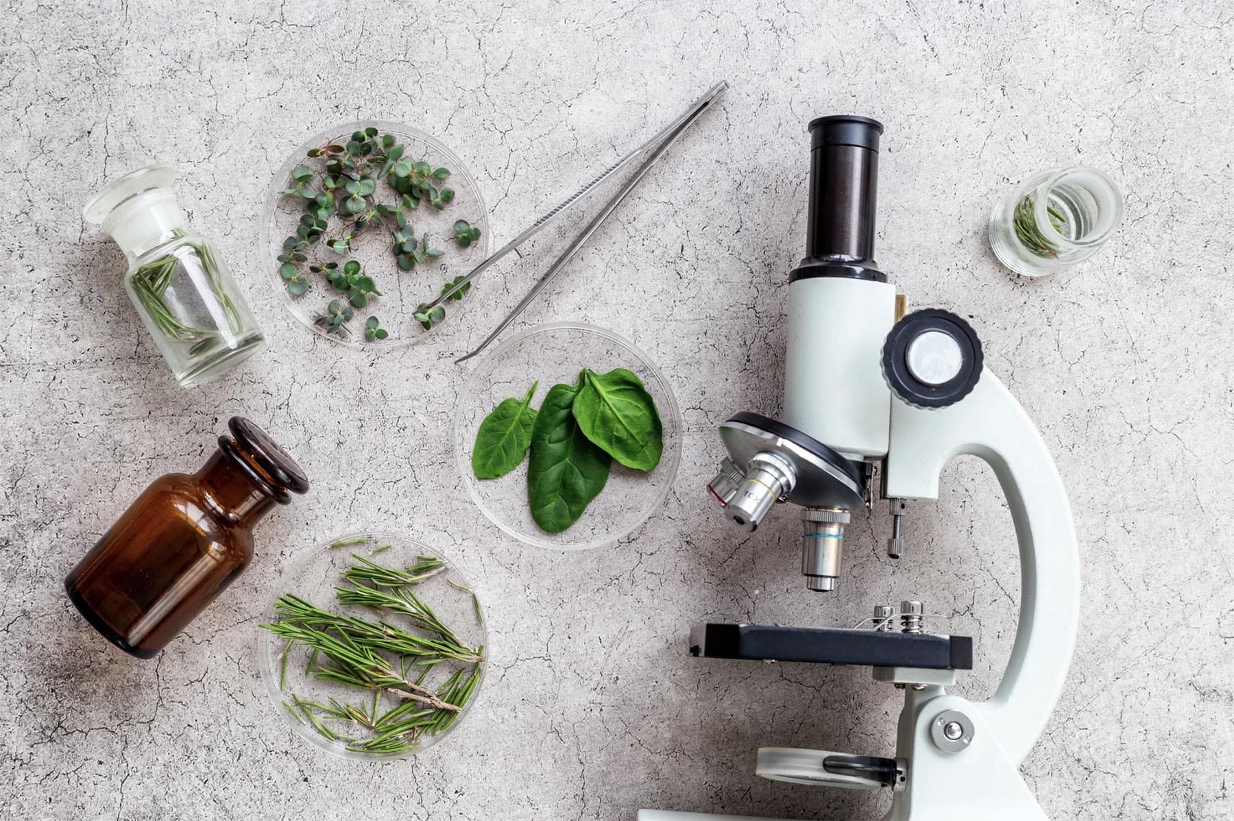 Natural herbal supplements and functional lab tests offered at Higher Health Clinic for personalized wellness